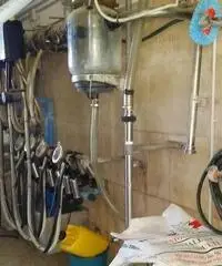 Agricolo in vendita a Parma