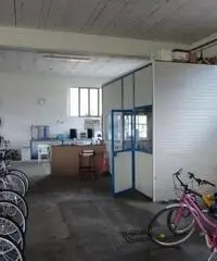 Industriale/Artigianale in vendita a Zibello