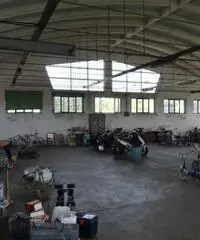 Industriale/Artigianale in vendita a Zibello