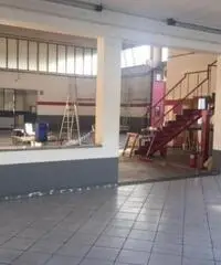 Rif: colornoFT3000 - Capannone in Affitto a Colorno