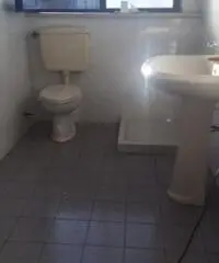 Rif: colornoFT3000 - Capannone in Affitto a Colorno