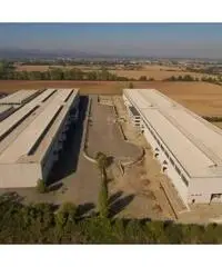 Affitto Capannone in Via Roma