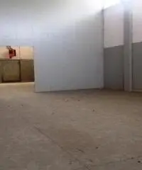 Rif: BC28415 - Capannone in Affitto a Piacenza