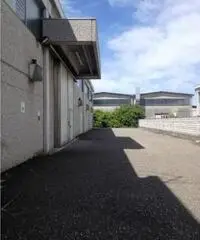 Rif: MP17514 - Capannone in Affitto a Rottofreno