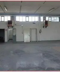 Capannone artigianale in vendita a Cascina 300 mq Rif: 265608