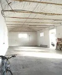 Capannone industriale in affitto a CASCINE - Buti 200 mq  Rif: 475597