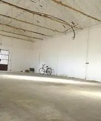 Capannone industriale in affitto a CASCINE - Buti 200 mq  Rif: 475597