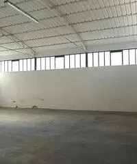 Capannone industriale in affitto a CASCINE - Buti 200 mq  Rif: 475597