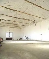 Capannone industriale in affitto a CASCINE - Buti 200 mq  Rif: 475597