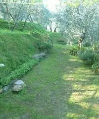 Magazzino in vendita a Calci 36 mq  Rif: 321414