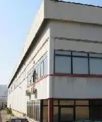 Capannone industriale zona San Leo Pellaro (Rc) VR13703