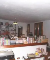 Rif: 818 - PRATICELLO DI GATTATICO, vendesi capannone di circa 700 mq. piu' vano ufficio e servizio