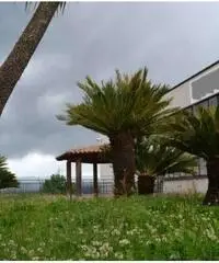 Affitto Capannone in A1 Diramazione Roma Sud