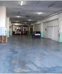 Affitto Capannone in A1 Diramazione Roma Sud