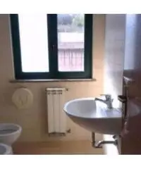 Vendita Capannone in via Stella Polare