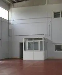 Vendita Capannone in Via Pontina