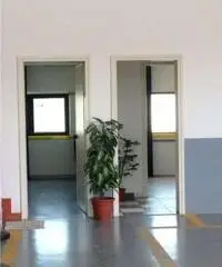 Vendita Capannone in Via delle Industria