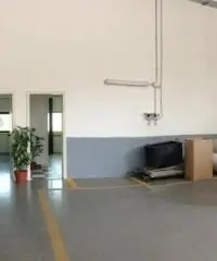 Vendita Capannone in via della produzione  17