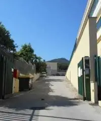 Vendita Capannone in via della produzione  15