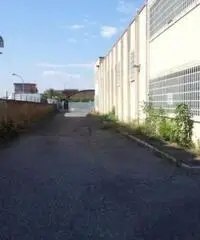 Vendita Capannone in Via Lucrezia Romana