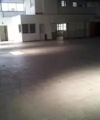 Vendita Capannone in Via Lucrezia Romana