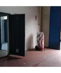 Vendita Capannone in Via Trinitad, 10