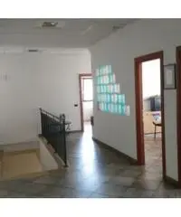 Vendita Capannone in Via Casilina km 48