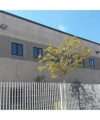 Vendita Capannone in Via Casilina km 48