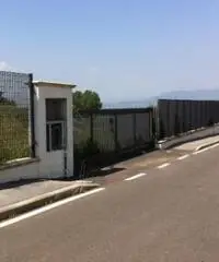 Vendita Capannone in Via di Colonna