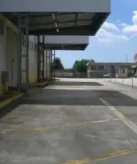 Vendita Capannone in Via Taormina