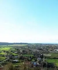 Vendita Capannone in Via di Mezzo