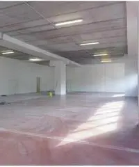 Vendita Magazzino in Via degli Olmetti