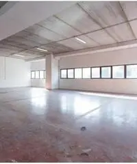 Vendita Magazzino in Via degli Olmetti