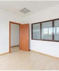 Vendita Magazzino in Via degli Olmetti