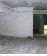 Vendita Magazzino in viale dei Cedri