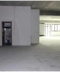 Vendita Magazzino in Via degli olmetti 44