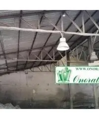 Villa Adriana: Affitto Capannone in Via Maremmana Inferiore