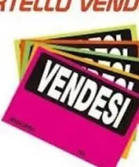 Villanova: Vendita Magazzino in Via Carlo Alberto