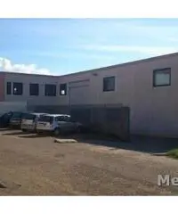 Vendita Capannone in loc ungias