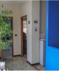 Rif: 011 - Capannone in Vendita a Beinasco