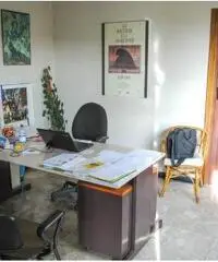 Rif: 011 - Capannone in Vendita a Beinasco