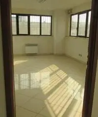 Rif: Capuano - capannone di 800 mq circa a Cambiano