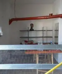 Rif: Capuano - Magazzino Rivoli 200 mq