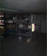 Affitto Magazzino da 230mq