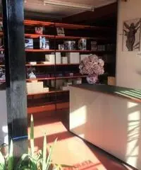 Vendita Capannone da 1200mq