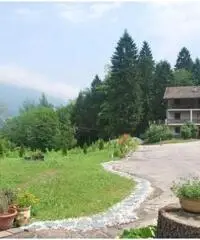 Vendita Capannone da 1100mq