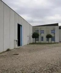 in affitto Professionale magazzino S.S.NAPOLEONICA mq 1998