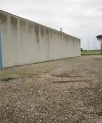 in affitto Professionale magazzino S.S.NAPOLEONICA mq 1998