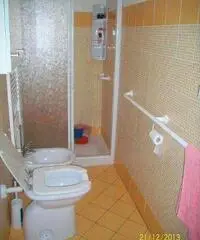 Appartamento di 2 locali in Affitto