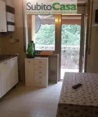 Appartamento in Affitto - Scalo zona universit